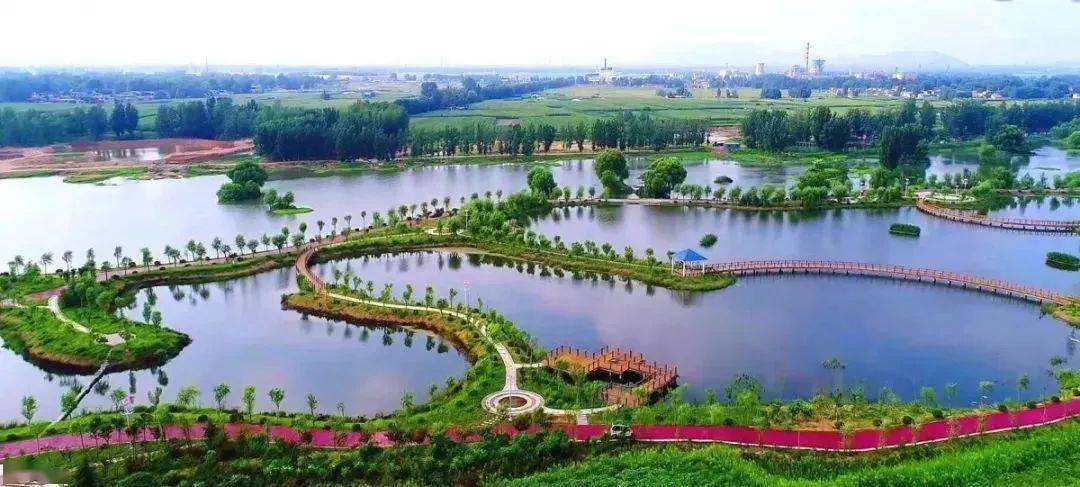 惠民县月亮湾湿地公园