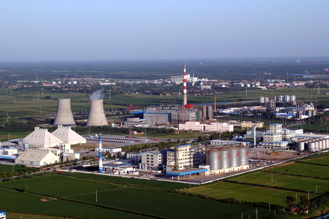 山东渤海油脂有限公司厂区工程