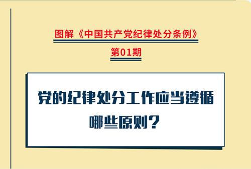 图解纪律处分条例丨党的纪律处分工作应当遵循哪些原则